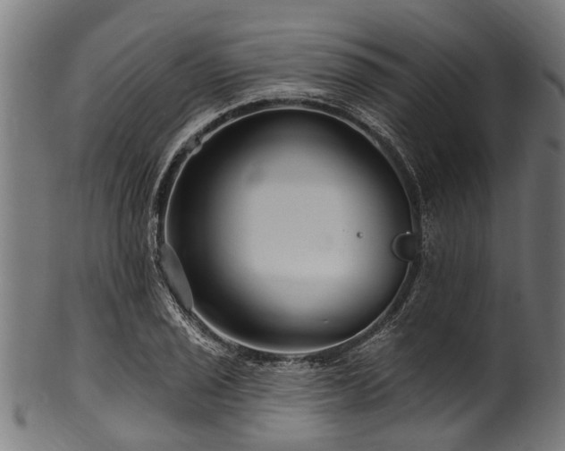 X0000100971029200806241546