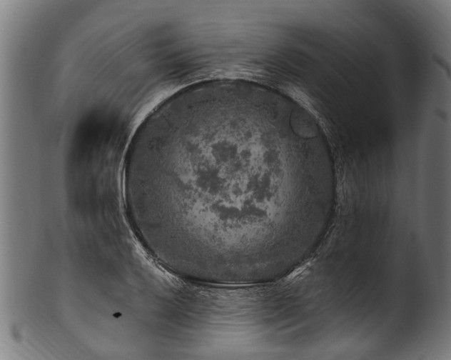 X0000100971032200806241546