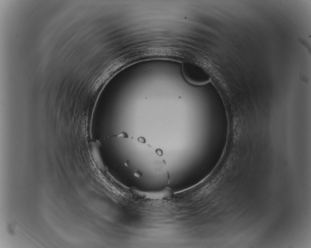 X0000100971033200806241546