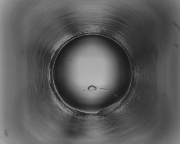 X0000100971034200806241546