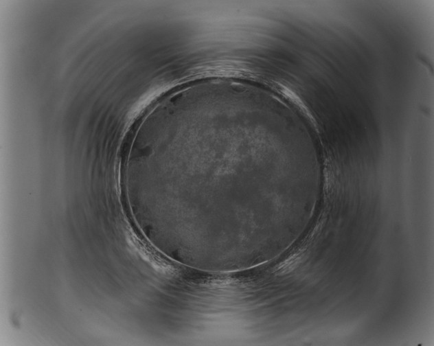 X0000100971035200806241546