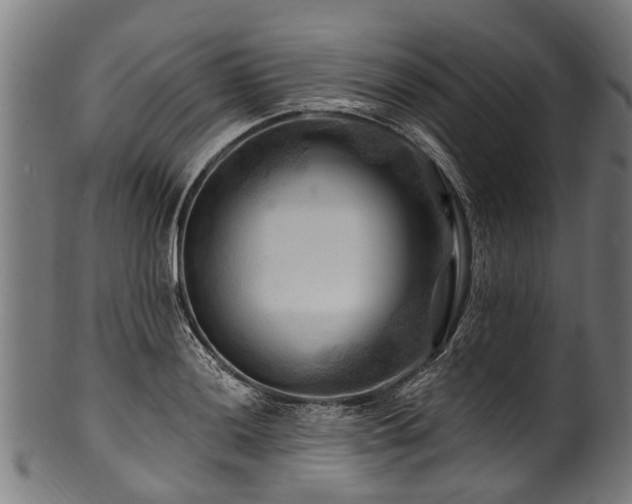 X0000100971036200806241546