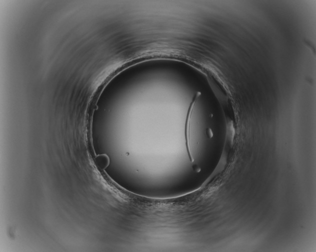 X0000100971038200806241546