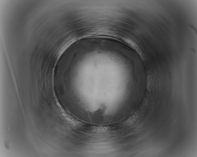 X0000100971039200806241546