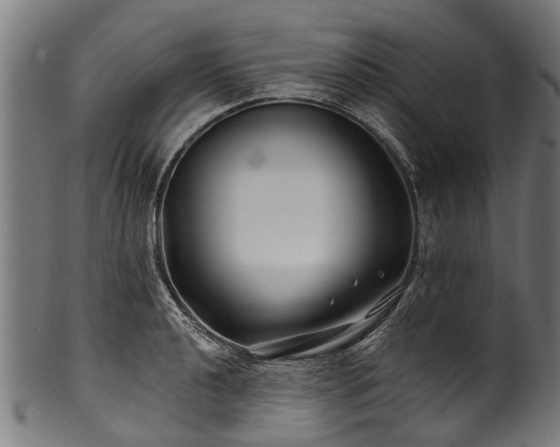 X0000100971040200806241546