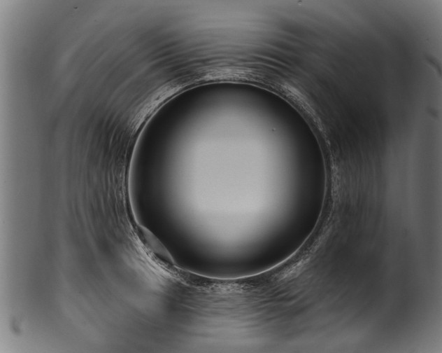 X0000100971041200806241546