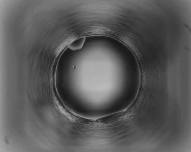 X0000100971042200806241546