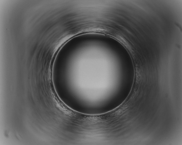 X0000100971044200806241546