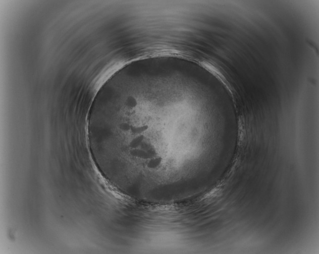 X0000100971047200806241546