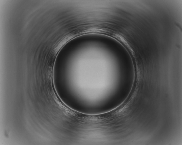 X0000100971049200806241546