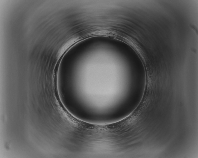 X0000100971050200806241546