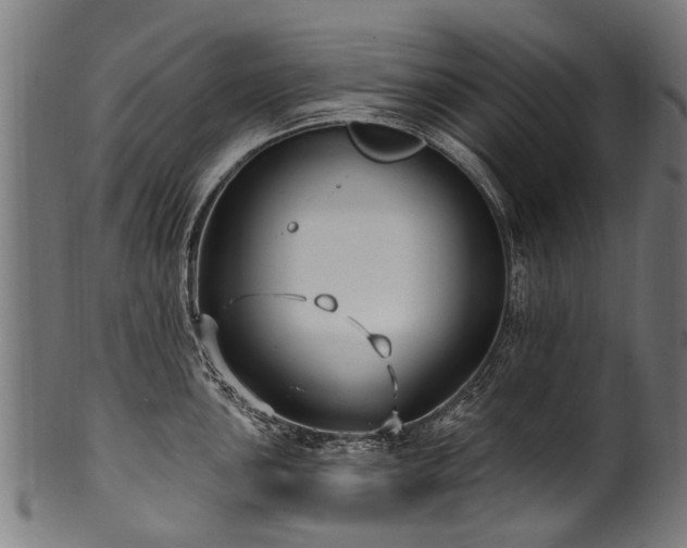 X0000100971051200806241546