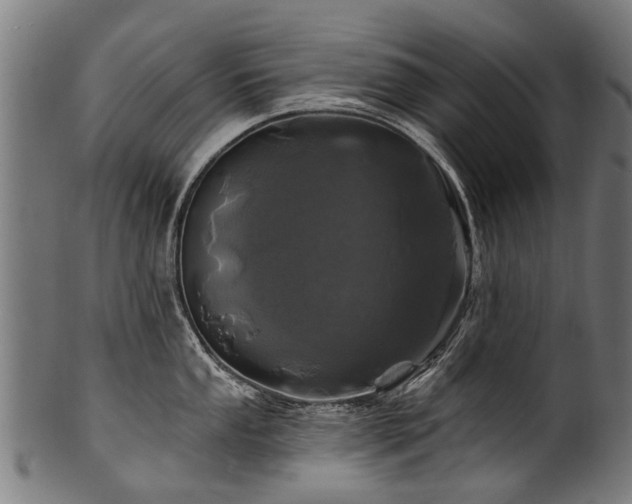 X0000100971053200806241546