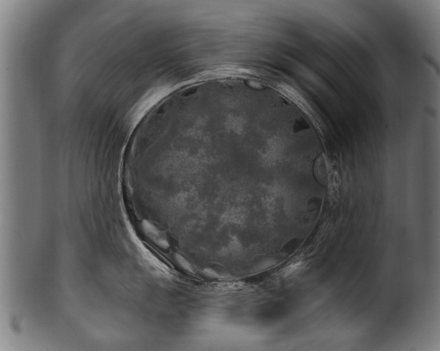 X0000100971055200806241546