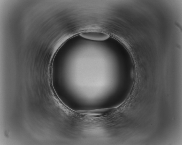 X0000100971056200806241547