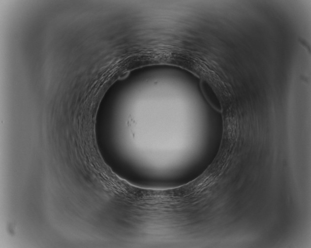 X0000100971057200806241546