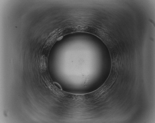 X0000100971058200806241546