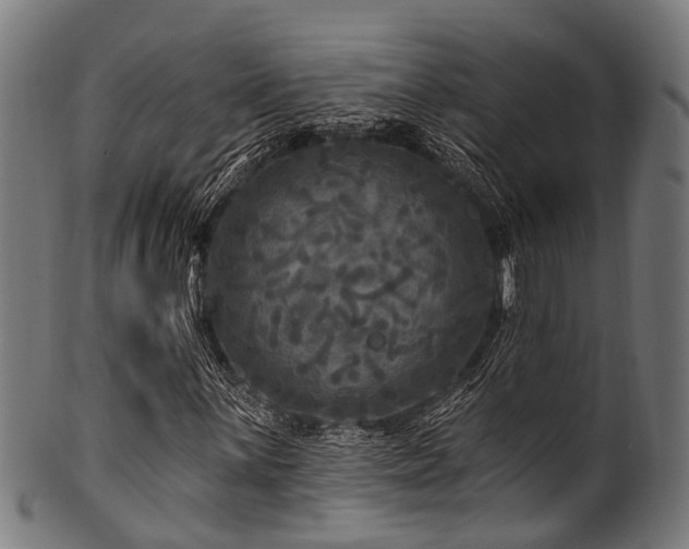 X0000100971059200806241546