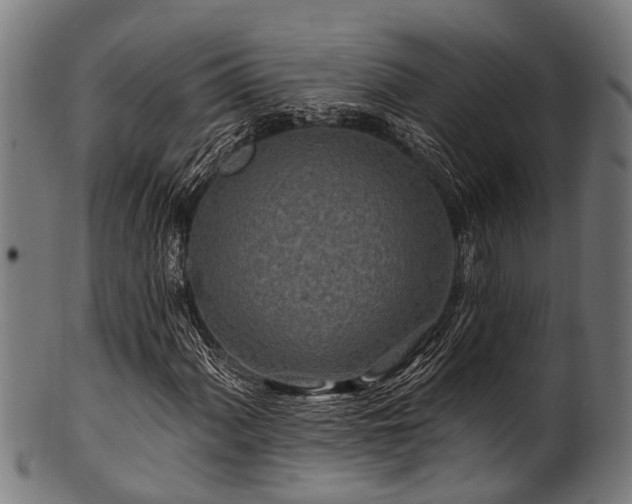 X0000100971060200806241546