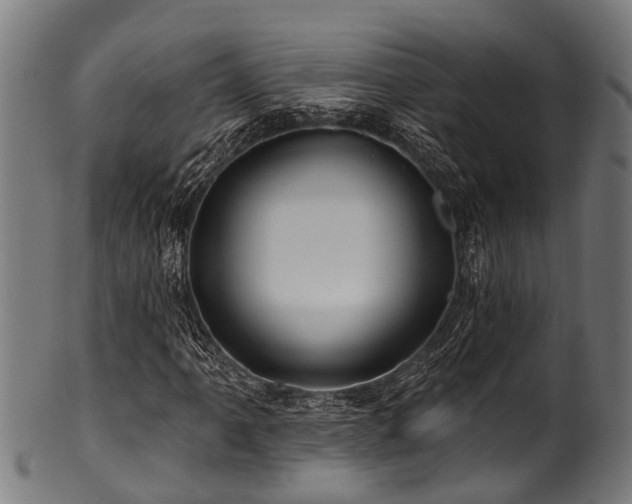 X0000100971061200806241546