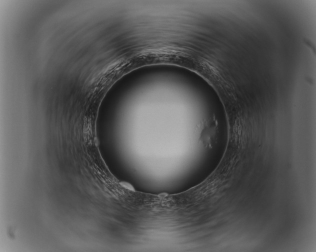 X0000100971062200806241546