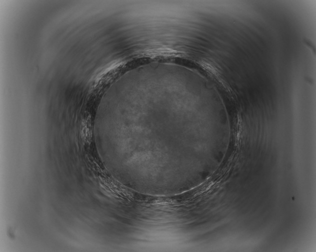 X0000100971063200806241546