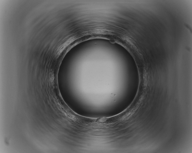 X0000100971065200806241546