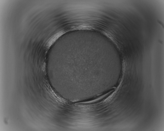 X0000100971066200806241546