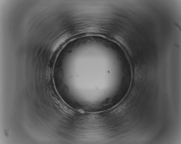 X0000100971067200806241546