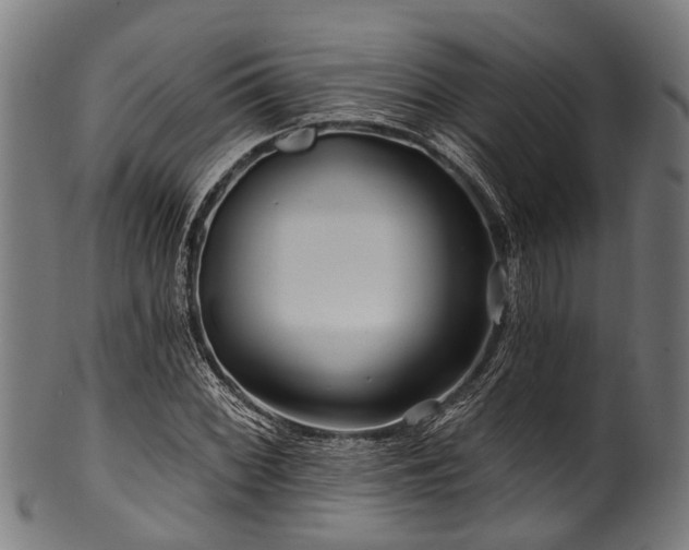 X0000100971068200806241546