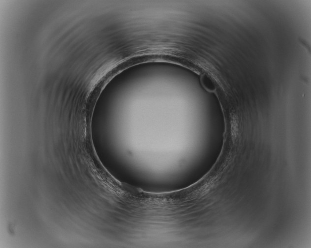 X0000100971069200806241546