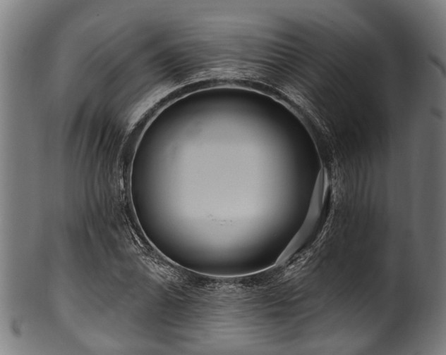 X0000100971070200806241545