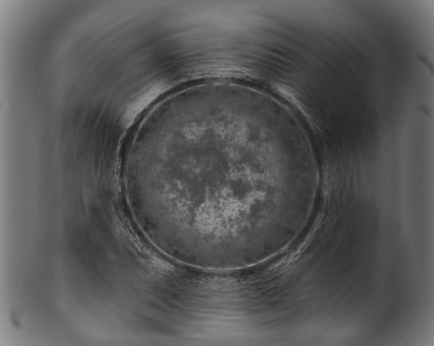 X0000100971071200806241545