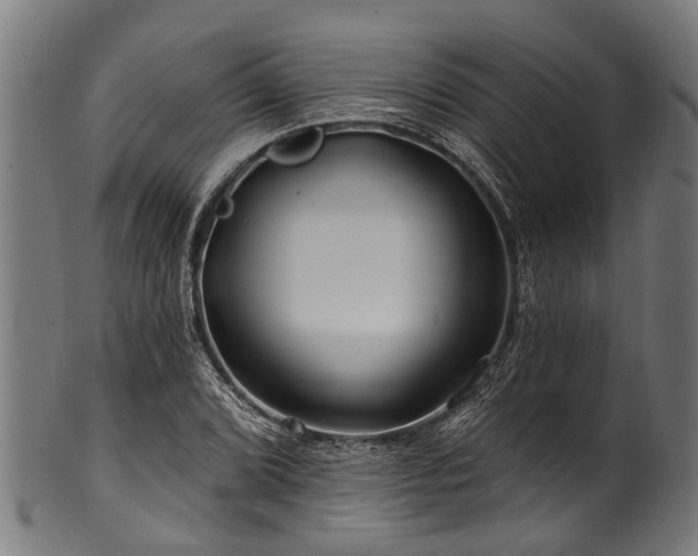 X0000100971072200806241545