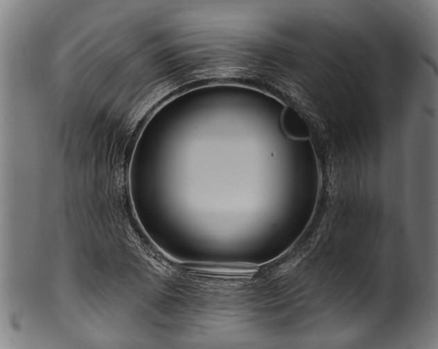 X0000100971073200806241545