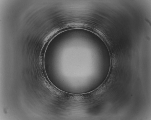 X0000100971074200806241545