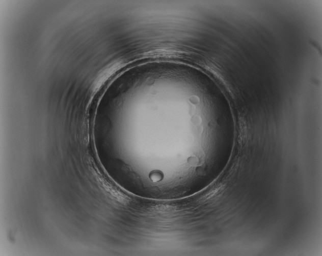 X0000100971075200806241545