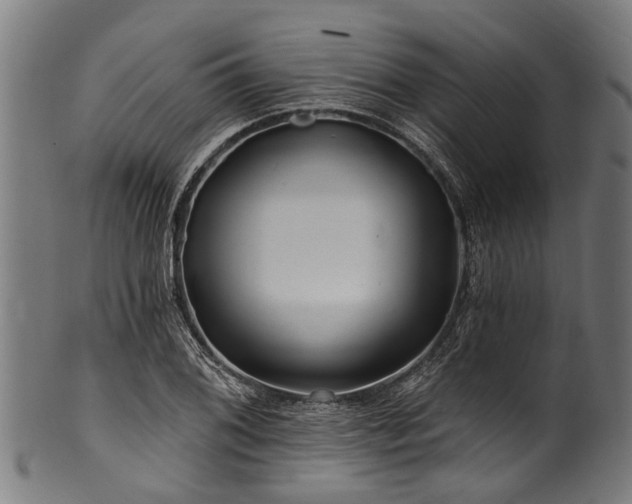 X0000100971076200806241545