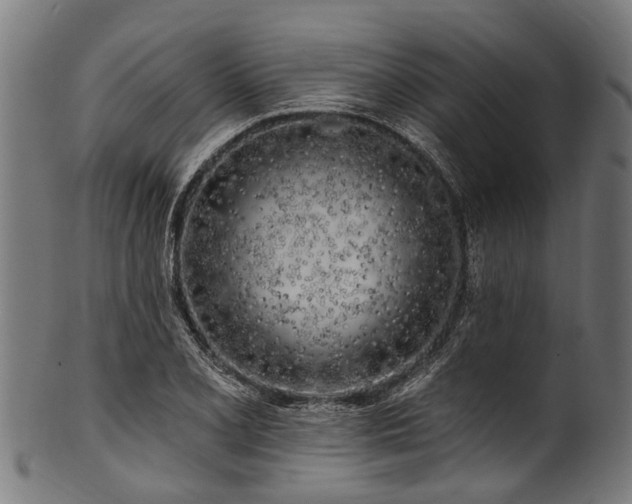 X0000100971077200806241545