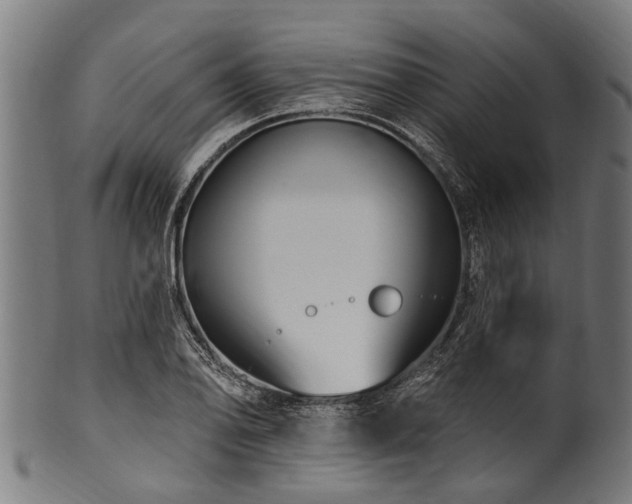 X0000100971078200806241545