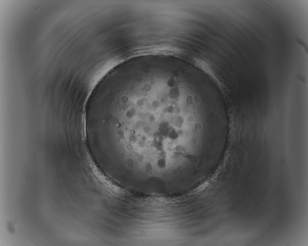 X0000100971079200806241545