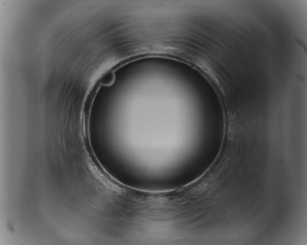 X0000100971080200806241545