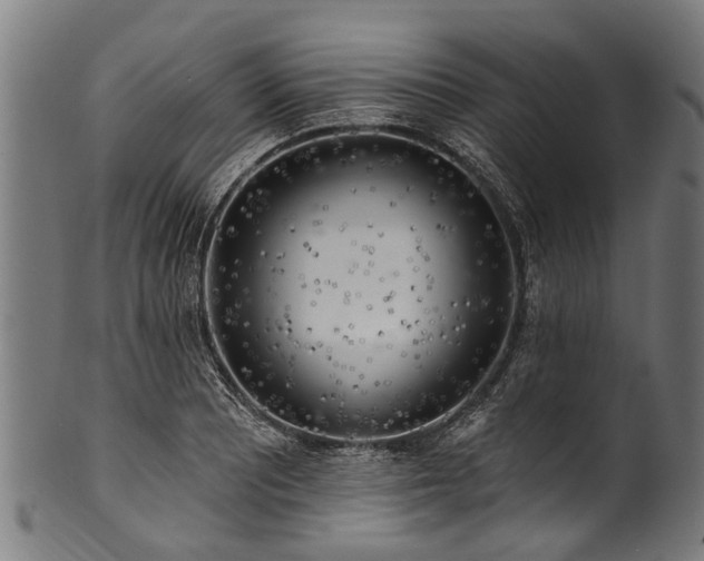 X0000100971081200806241545