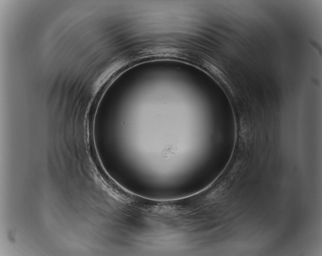 X0000100971082200806241545