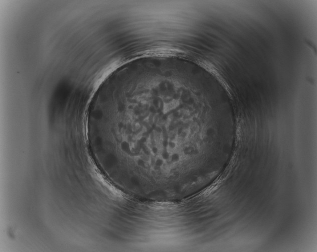 X0000100971083200806241545