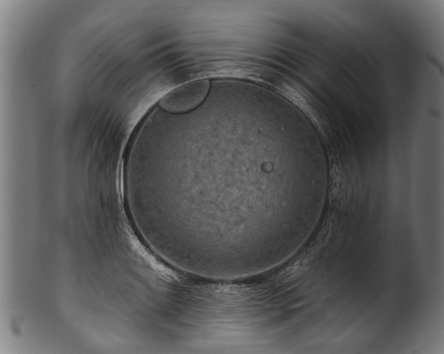 X0000100971084200806241545