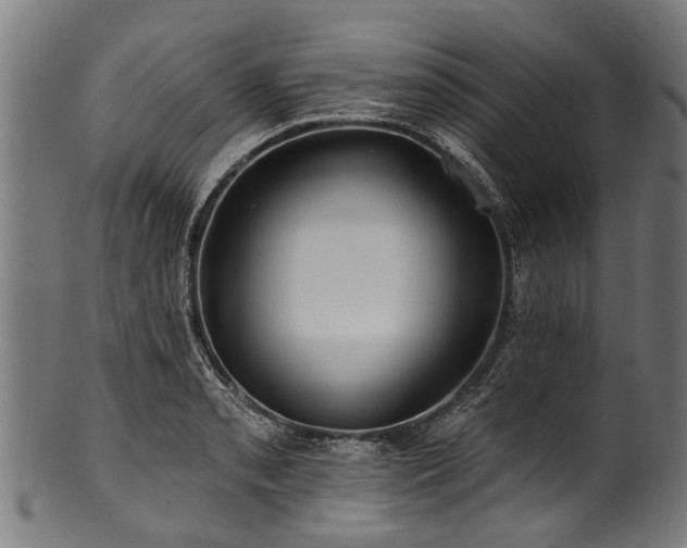 X0000100971085200806241545