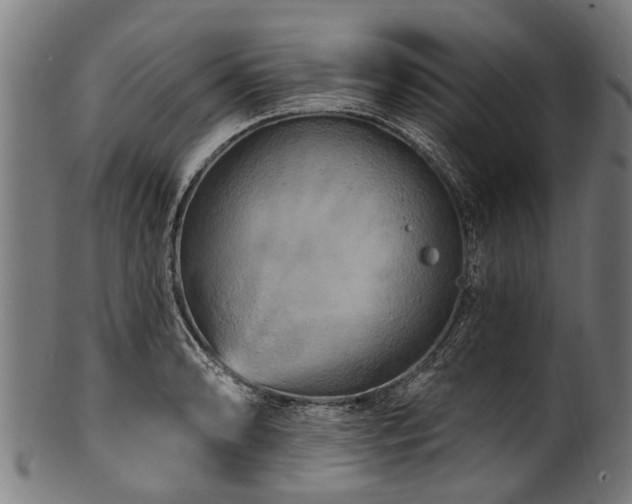 X0000100971086200806241545