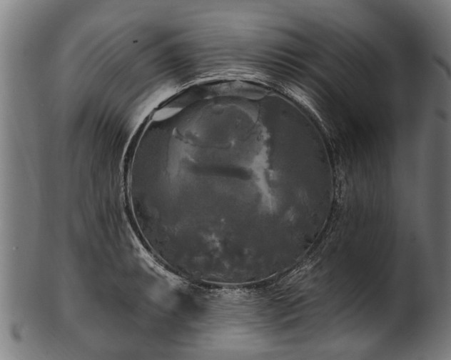 X0000100971087200806241545