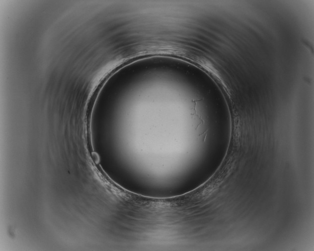 X0000100971088200806241545